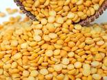 We are offering millet, chickpeas, whole peas, sunflower seeds for feeding, split peas - photo 3