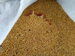 We are offering millet, chickpeas, whole peas, sunflower seeds for feeding, split peas - photo 1
