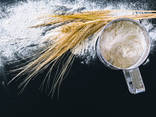 Wheat flour (origin Ukraine) - photo 3