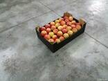 Яблоки apples - фото 7