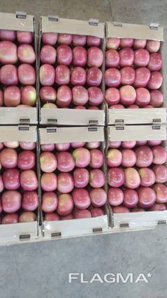 Яблоки от производителя. Урожай 2022 год