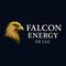 Falcon Energy FZE-LLC, FZE